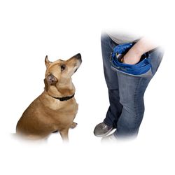 PetSafe For All Pets Blue Nylon Sport Treat Pouch Medium 1 pc