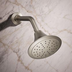 Kohler Forte Vibrant Brushed Nickel Plastic 1 settings Showerhead 1.75 gpm