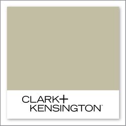 Clark+Kensington Feather Cactus 24A-3