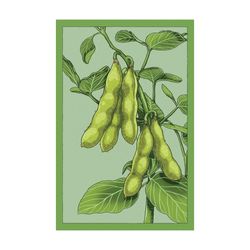 Chive Shido Seed Co. Edamame Seeds 1 pk