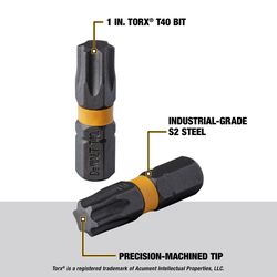 DeWalt Max Fit Torx T40 Head X 1 in. L Screwdriver Bit S2 Tool Steel 2 pk