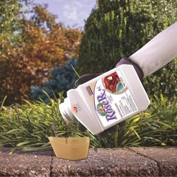 Bonide Captain Jack Organic Disease and Insect Control Liquid 16 oz