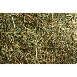 Retailer Sourced Grass / Alfalfa Hay Mix Bale