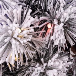 Celebrations 2 ft. Full LED 35 ct Snowy Color Changing Porch Bush