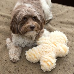 HuggleHounds HuggleFleece For Dog Pink Fleece Man Pet Toy Medium 1 pk