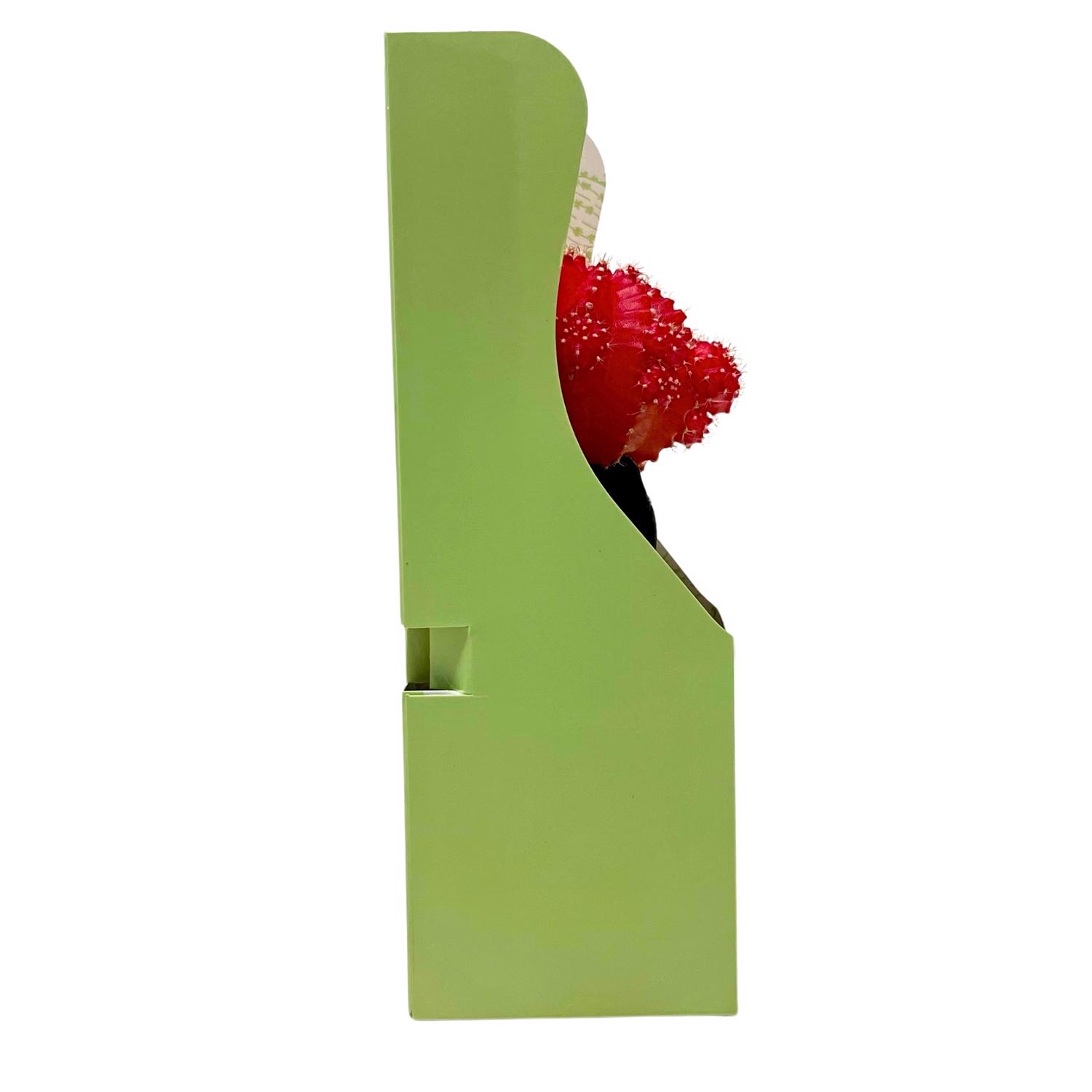image-3