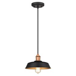 Westinghouse Ida Matte Black 1 lights Pendant Light