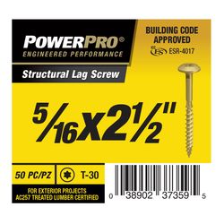 Power Pro 5/16 in. X 2 1/2 in. L Star Carbon Steel Lag Screw 50 pk