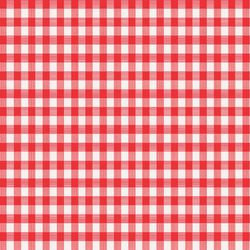 Magic Cover Red/White Checkered Vinyl Disposable Tablecloth 90 in. 52 in.