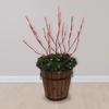 image-3
