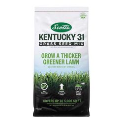 Scotts Kentucky 31 Full Sun/Light Shade Grass Seed Mix