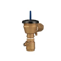 Zurn 2 in. FIP X 2 in. FIP Bronze Pressure Vacuum Breaker Assembly