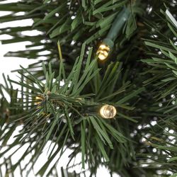 Celebrations 24 in. D LED Prelit RGBW Brilliant Wreath