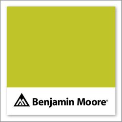 Benjamin Moore Eccentric Lime 2027-30