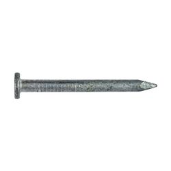 Simpson Strong-Tie 8D 1-1/2 in. Wood Joiner Hot-Dipped Galvanized Steel Nail Round Head 1 lb