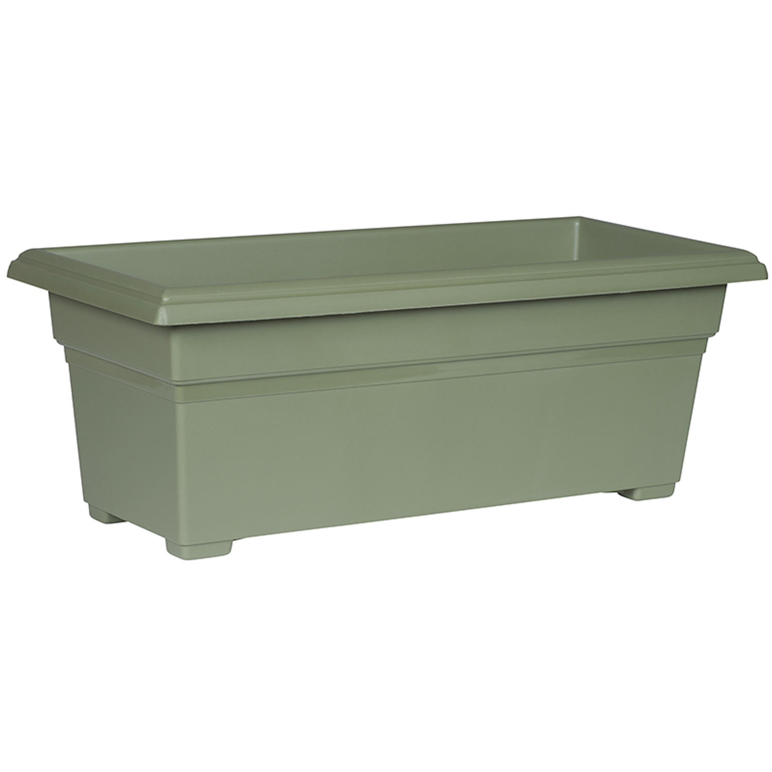 image-2