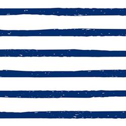 Navy/White