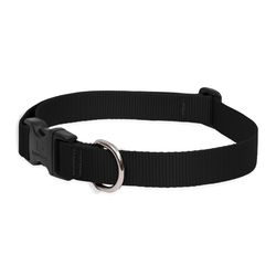 LupinePet Basic Solids Black Black Nylon Dog Adjustable Collar