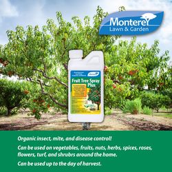 Monterey Fruit Tree Spray Plus Organic Insect Killer Liquid Concentrate 1 pt