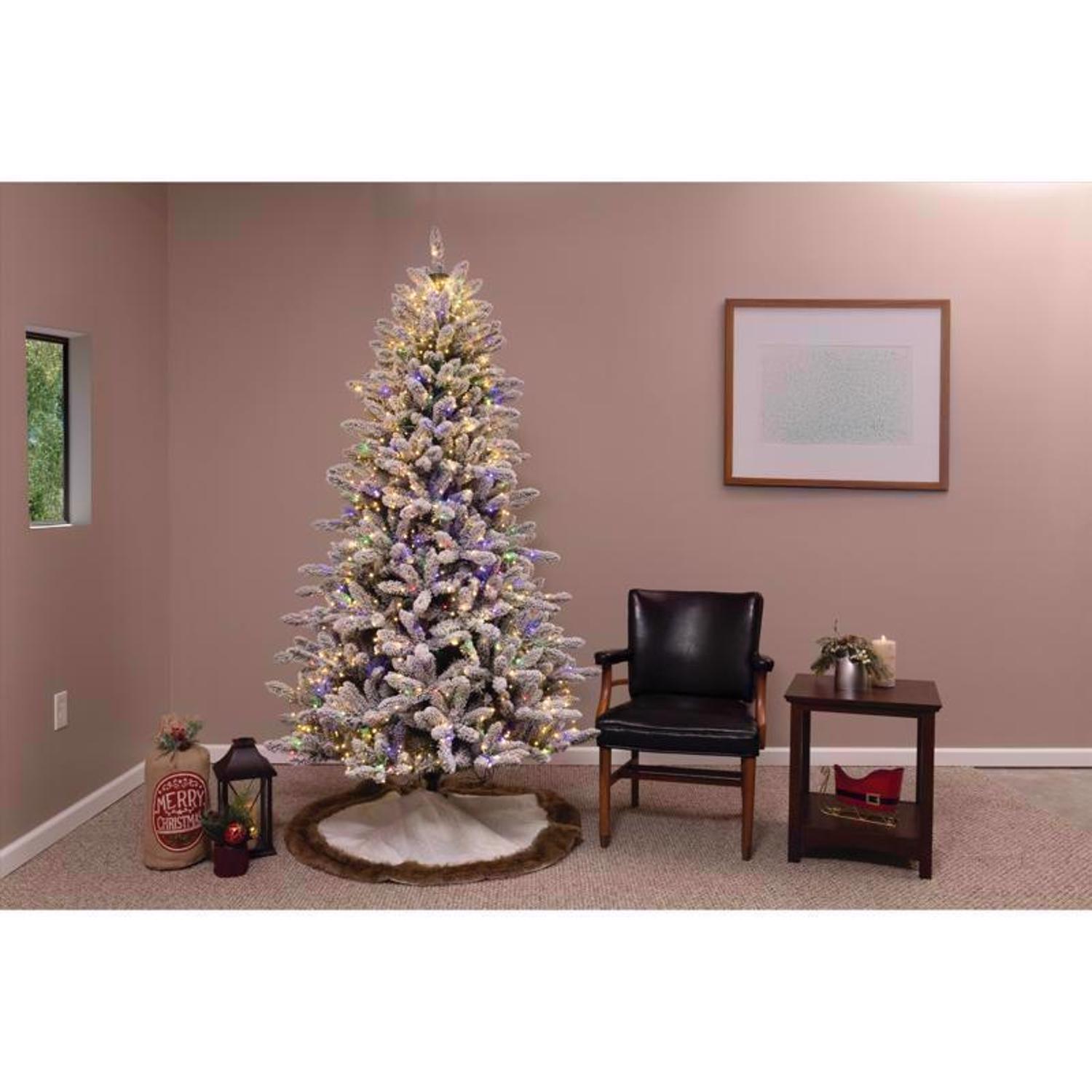 image-5