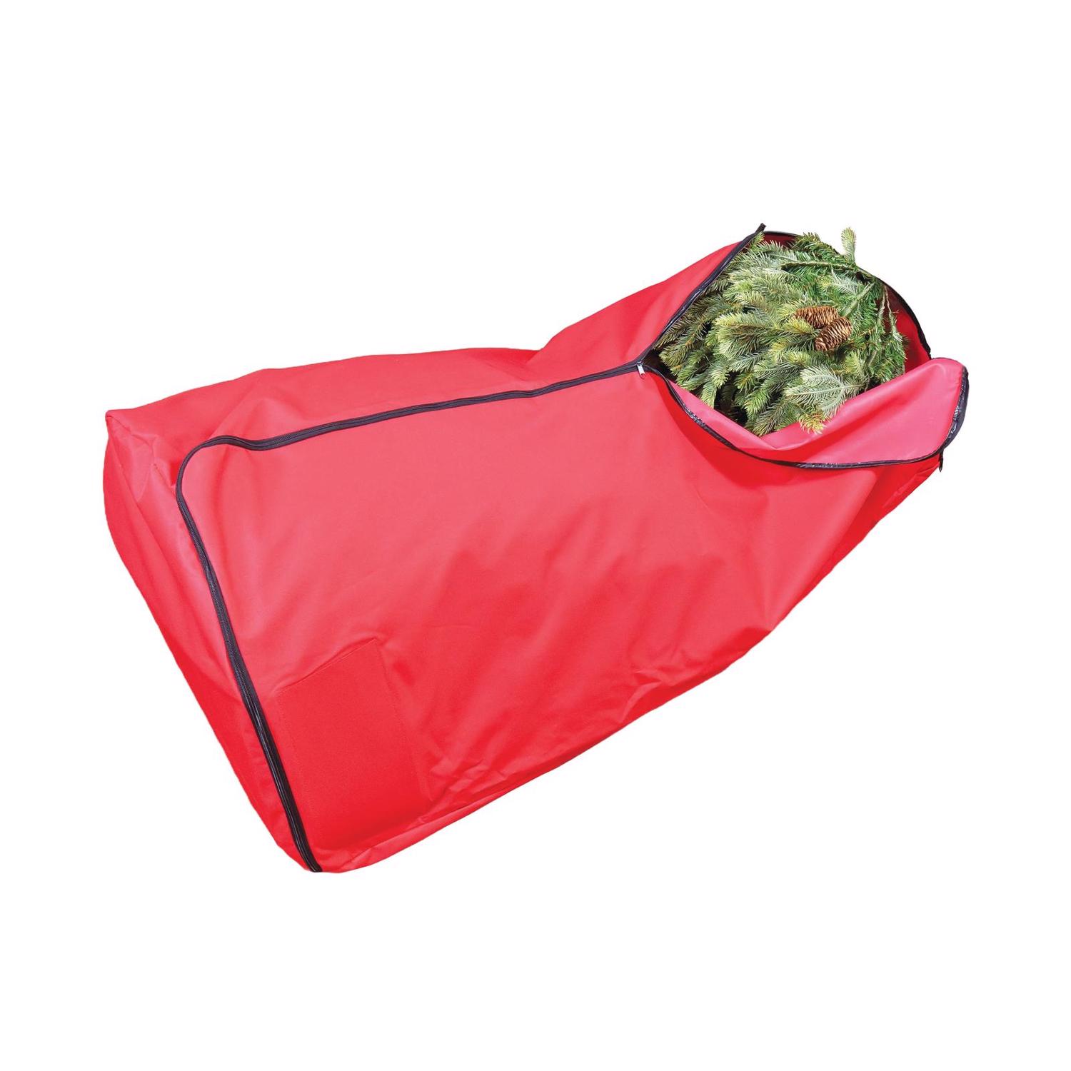 image-2