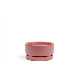 Momma Pots 6.5 in. W Porcelain Low Planter Dusty Rose