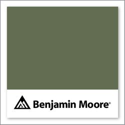 Benjamin Moore Alligator Alley 441