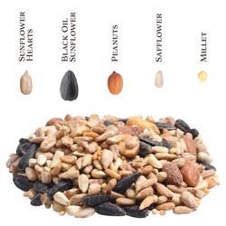 Songbird Selections Sizzling Variety Wild Bird Food 10 lb