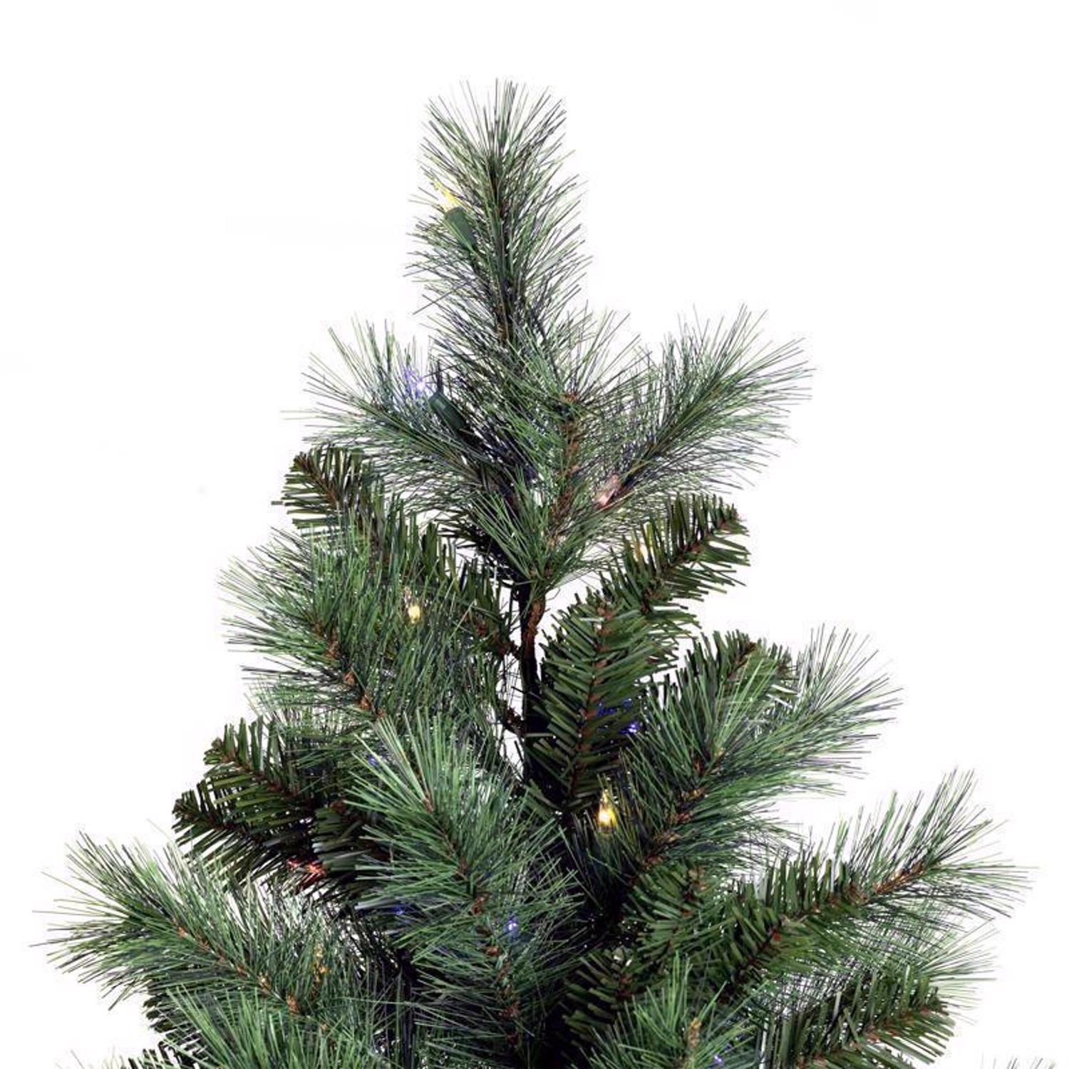 image-2