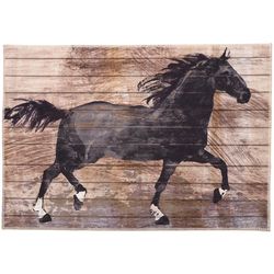 Olivia's Home 22 in. W X 32 in. L Black/Brown Barnwood Black Stallion Polyester Accent Rug