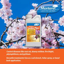 Monterey Garden Phos Concentrated Liquid Disease and Fungicide Control 1 pt