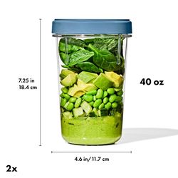 OXO Good Grips 40 oz Blue Food Storage Container Set 2 pk