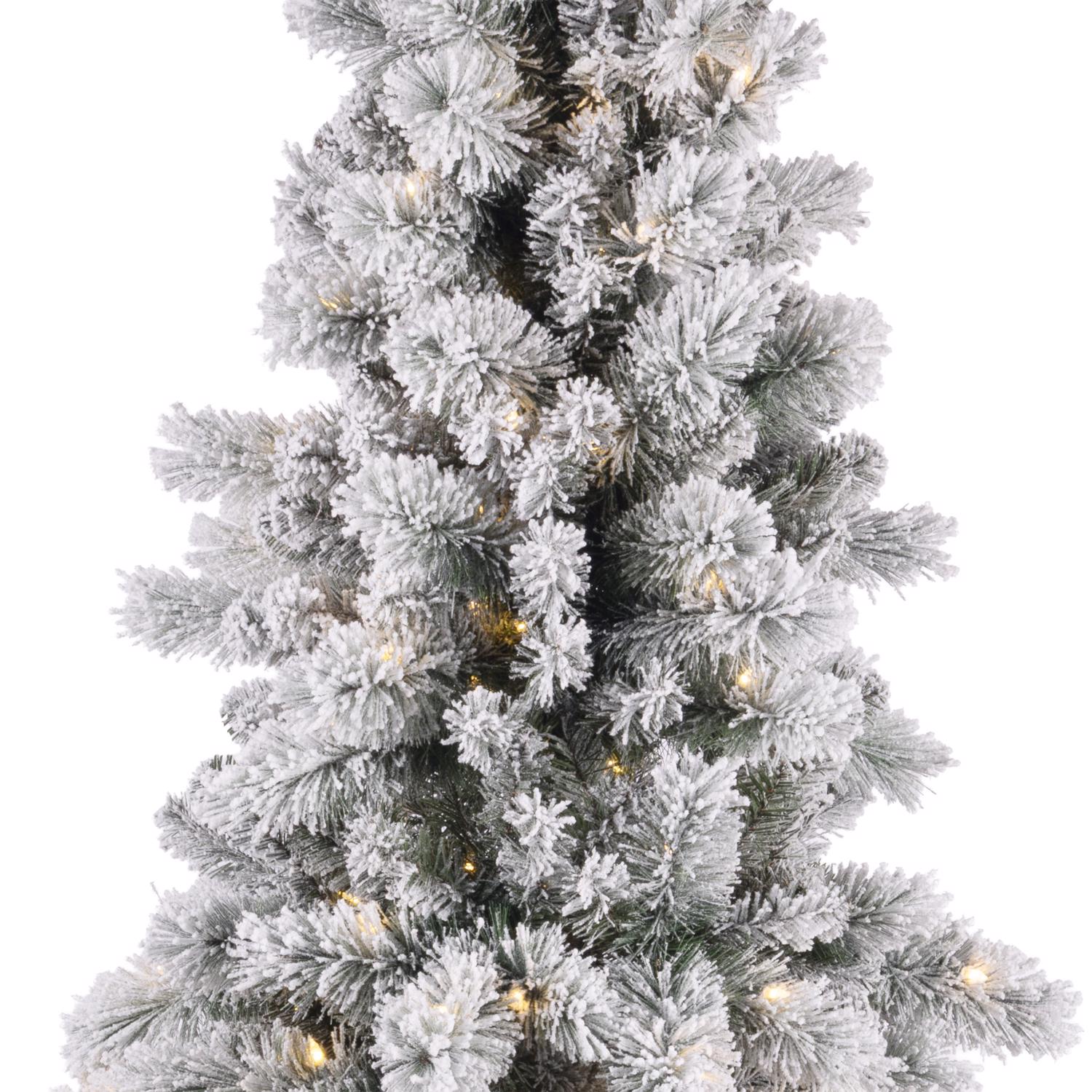 image-3