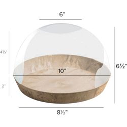 Novelty Artstone 5.7 in. H X 10.2 in. W X 10.2 in. D X 10.2 in. D Resin Napa Terrarium Taupe