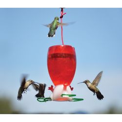 Songbird Essentials Hummingbird 10 oz Plastic Hummingbird Nectar Bird Feeder 3 ports