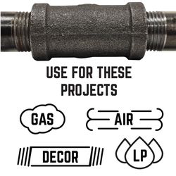 STZ Industries 2-1/2 in. MIP each X 2 in. D FIP each Black Malleable Iron Hex Bushing