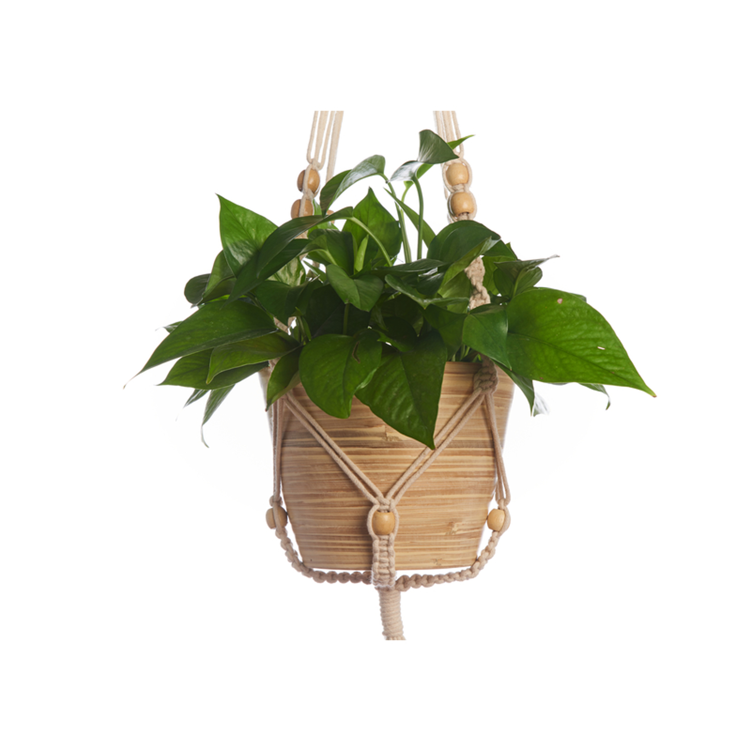image-2