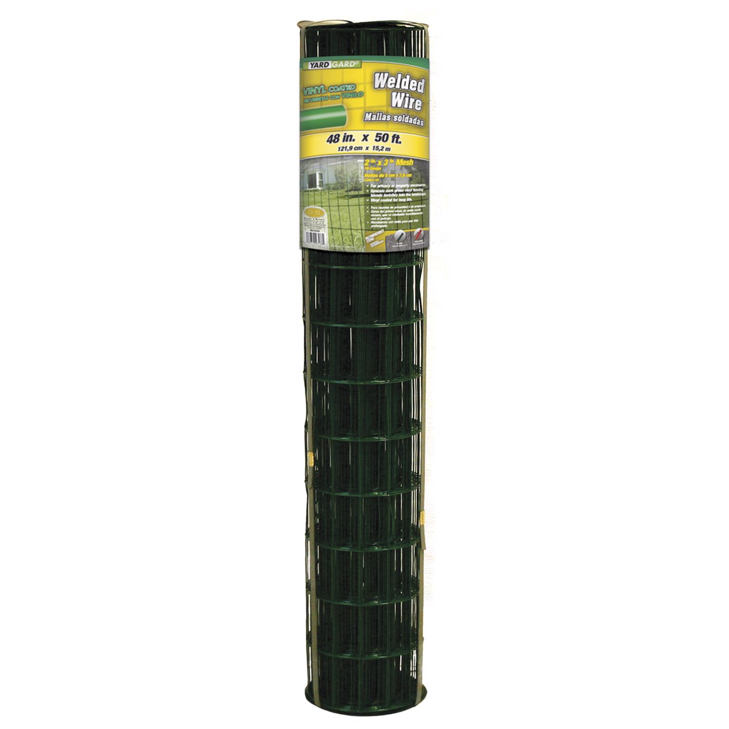 image-2