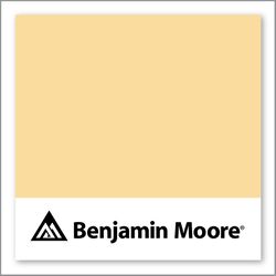 Benjamin Moore Suntan Yellow 2155-50
