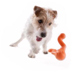 West Paw Zogoflex For Dog Blue Plastic Tizzi Tug Dog Treat Toy/Dispenser Small 1 pk