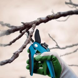 Nevlers Stainless Steel Anvil Hand Pruner