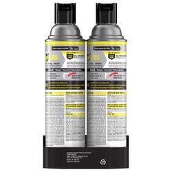 Raid Wasp and Hornet Killer Aerosol 17.5 oz