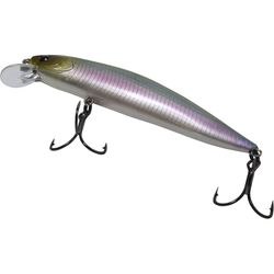 Lunkerhunt Fishing Lure
