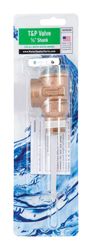 Reliance 3/4 in. MNPT Brass Relief Valve
