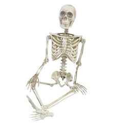 Fun World 36 in. Articulated Skeleton Halloween Decor