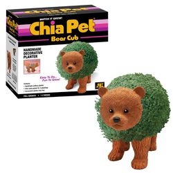 Chia Pet Bear Cub Decorative Planter Clay 1 pk