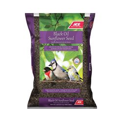 Ace Black Oil Sunflower Wild Bird Food 5 lb