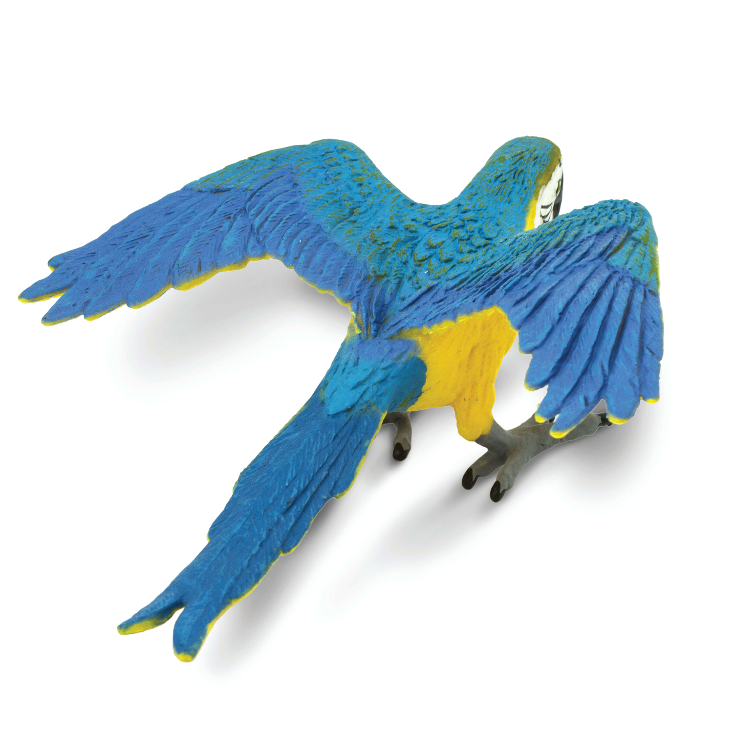 image-3