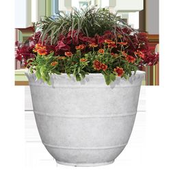 L&G Solutions 12 in. H X 16 in. W X 16 in. D X 16 in. D Polyresin Brighton Planter White
