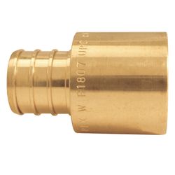 Apollo Pro 3/4 in. PEX Barb in to X 3/4 in. D Female Sweat Brass Adapter